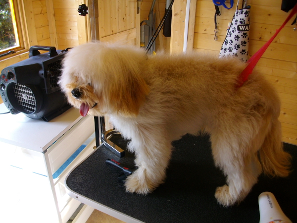Baxter Before
