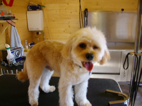 Baxter After