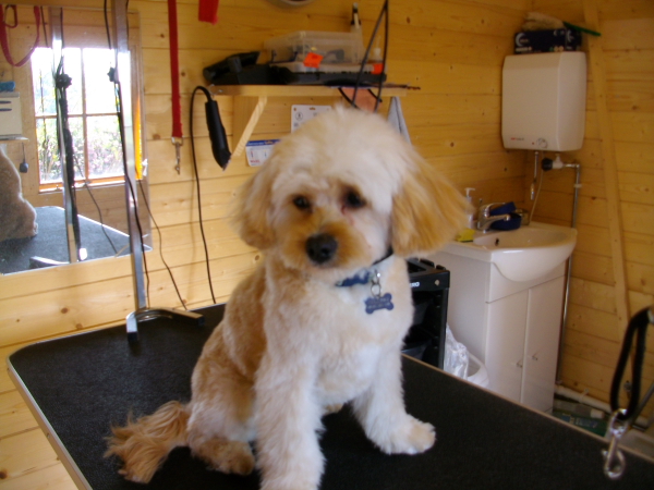 Baxter After