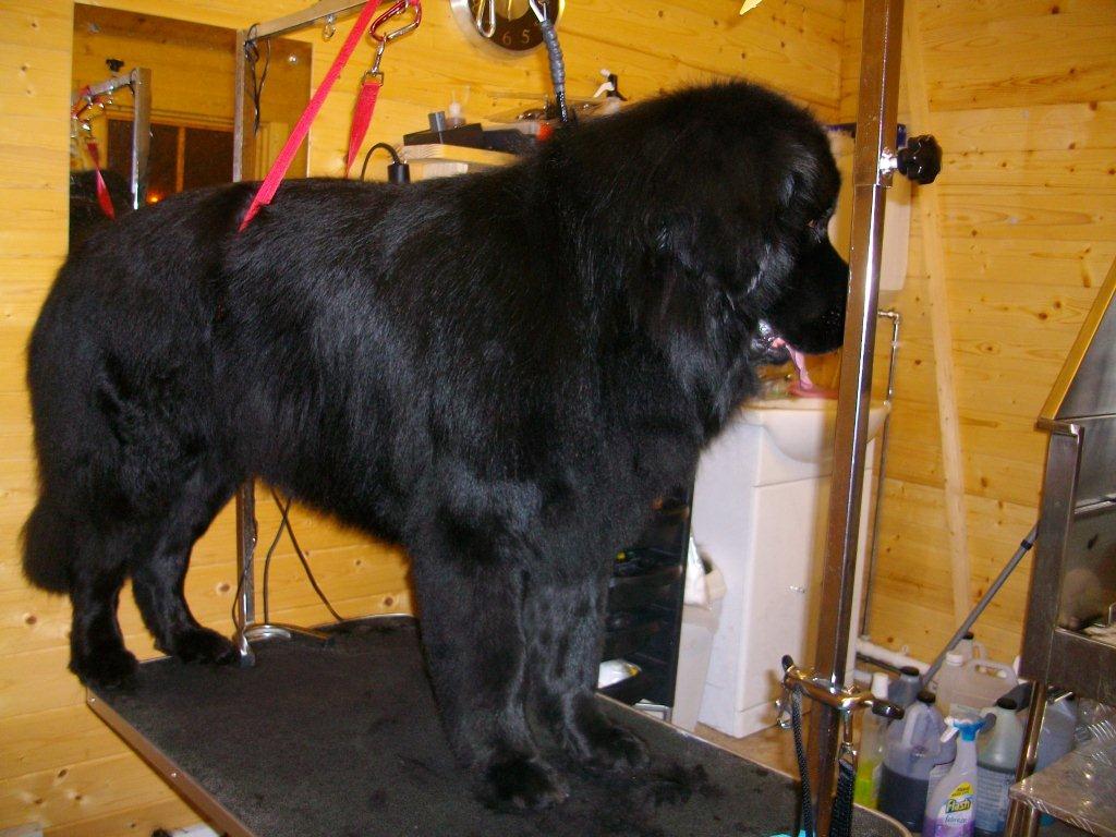 Grooming