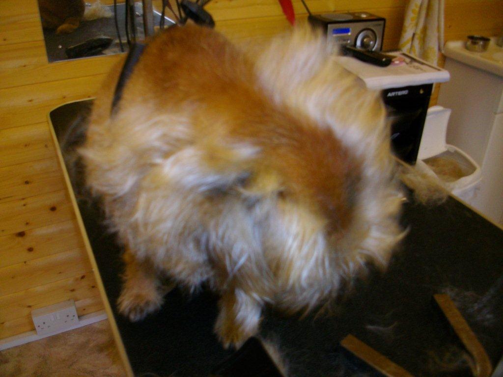 Grooming