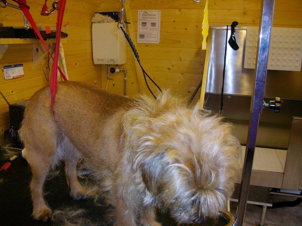 Grooming