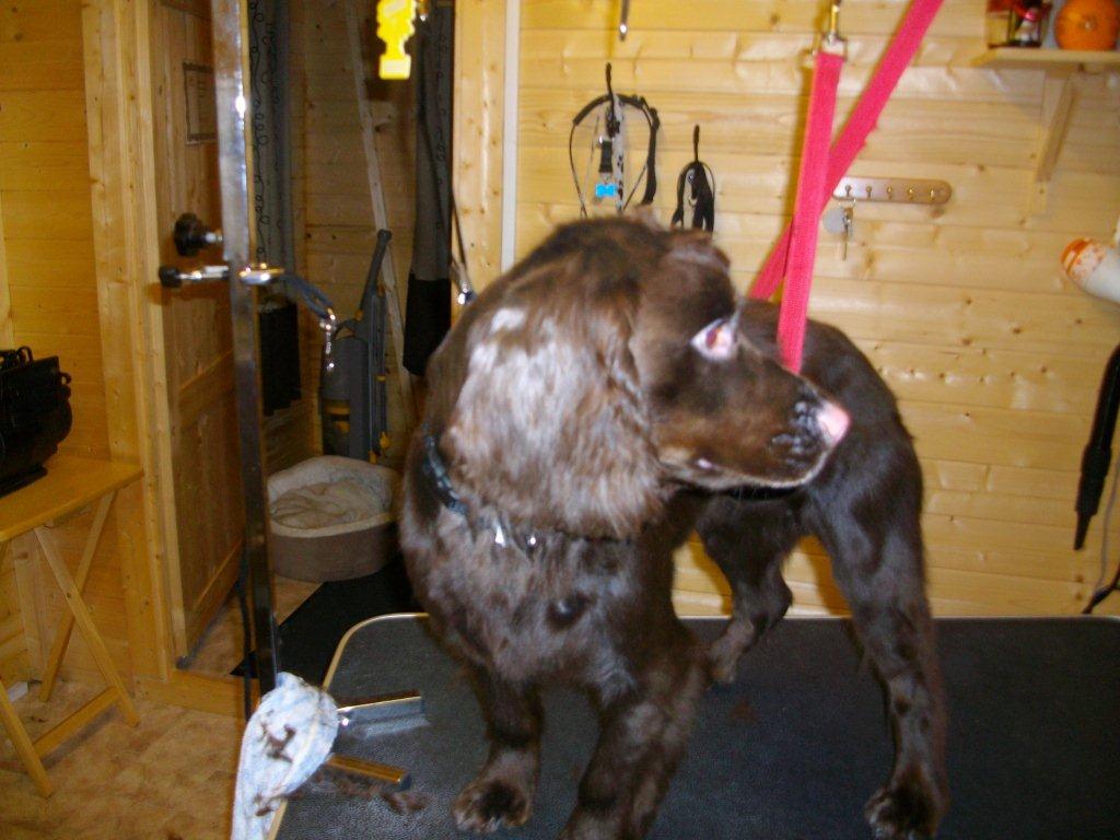 Grooming