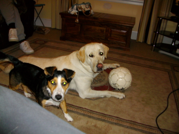 Its My Ball Murphy
