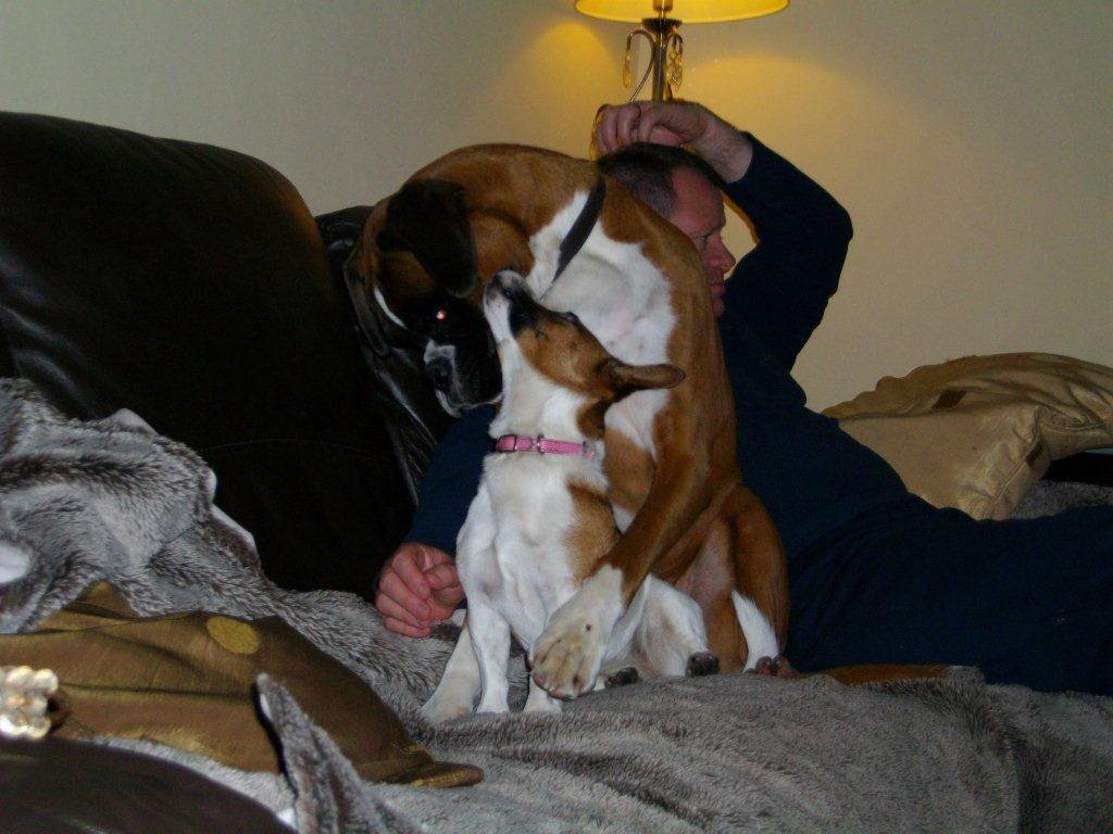 Home Boarding