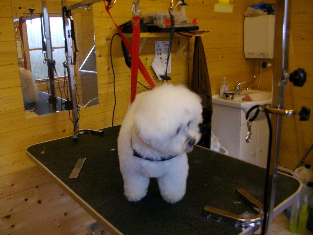 Grooming