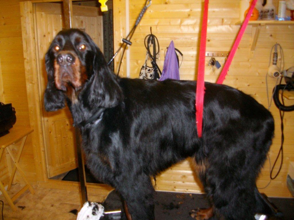 Grooming